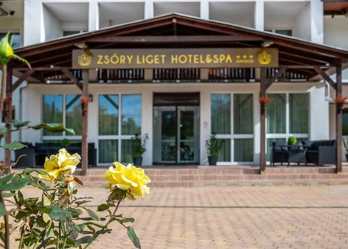 Zsory Liget Hotel & Spa Superior
