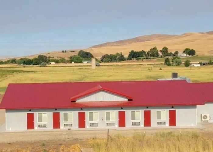 Lazy Bear Ranch