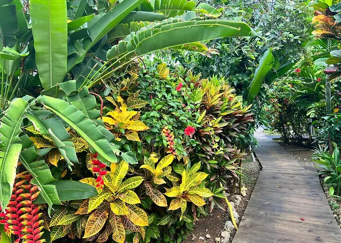 Jamaica Colors Hotel And Eco-Retreat