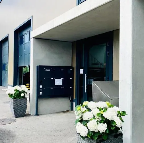 Laurin'S