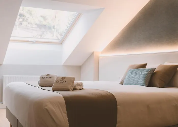Hotel Candor