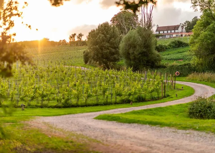 Three Choirs Vineyards