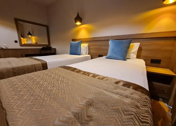 Hotel Angro Palace