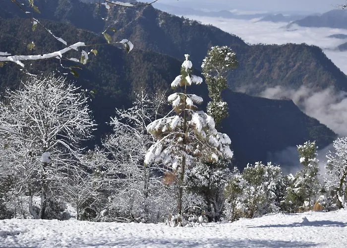Goroomgo Hotel Shri Ganga Mount View Munsyari