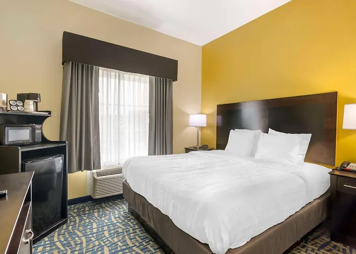 Best Western Plus Brunswick Inn & Suites