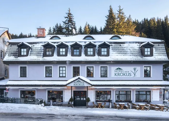 Hotel Krokus