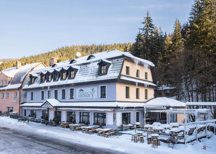 Hotel Krokus