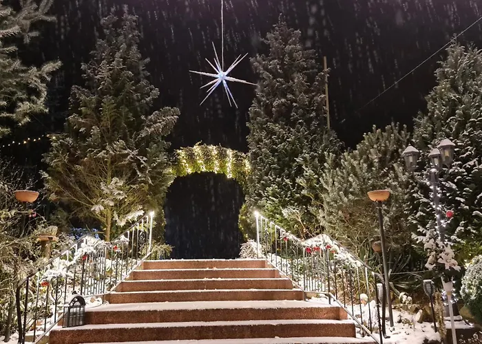 Hotel Am Wald B&B