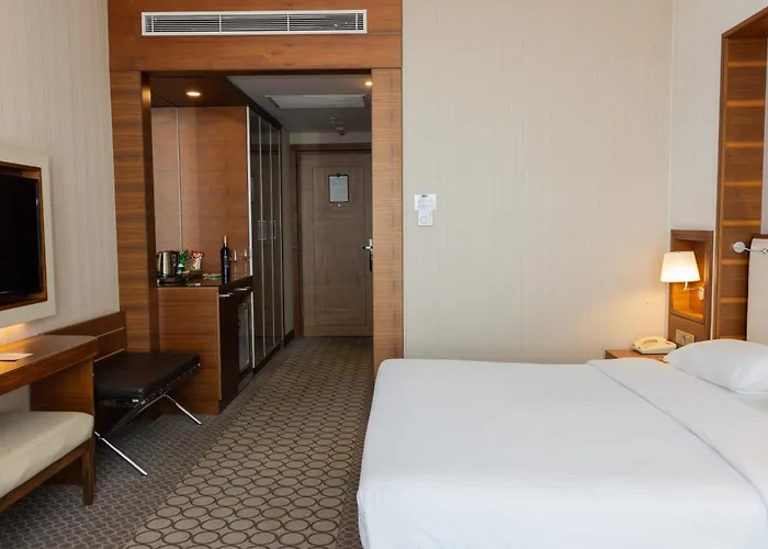 Anemon Grand Samsun Otel