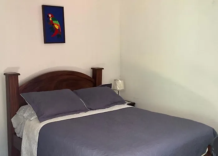 La Casa De Mama Coyita