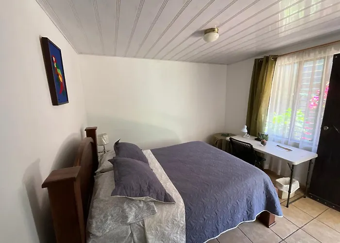 La Casa De Mama Coyita