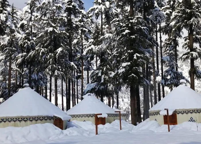 The Glamping Spot Kalam