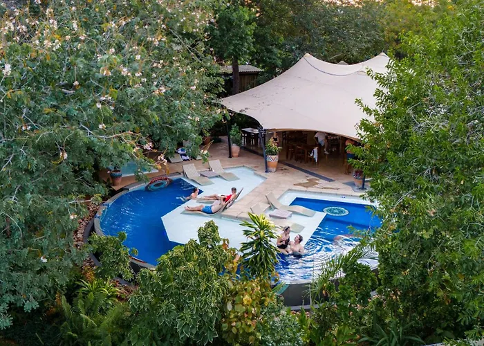 Shongwe Oasis