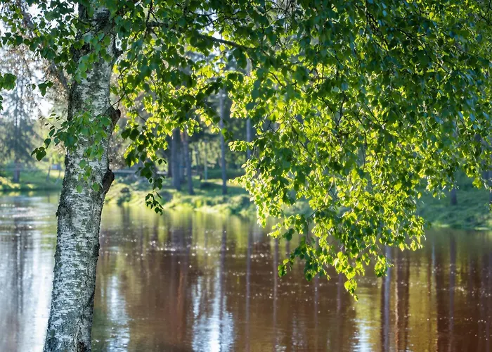 Spa Hotel Runni Iisalmi