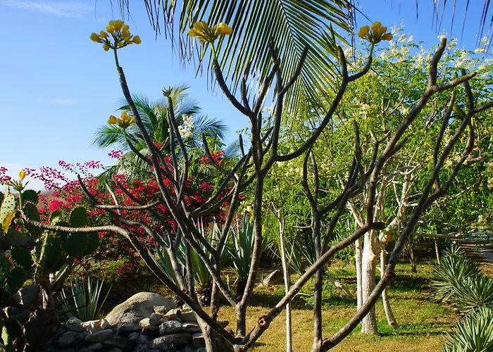 Ocean Oasis Hotel - Adult Only, Four Casitas Boutique Resort