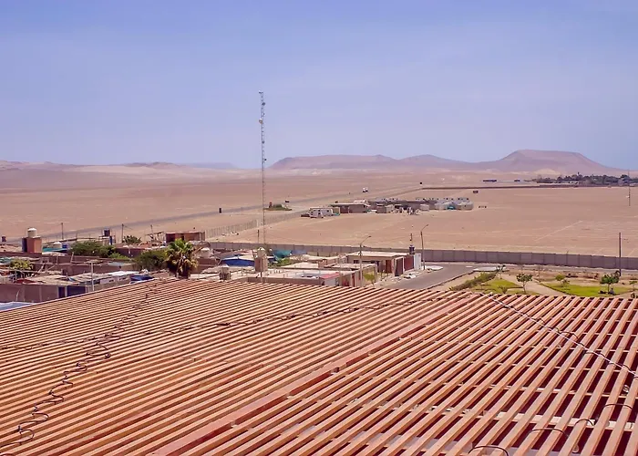 Las Gaviotas De Paracas