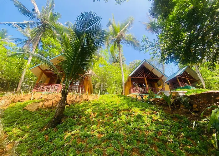 The Rainforest Hideaway