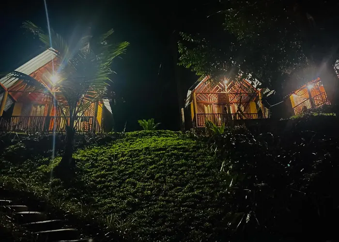 The Rainforest Hideaway