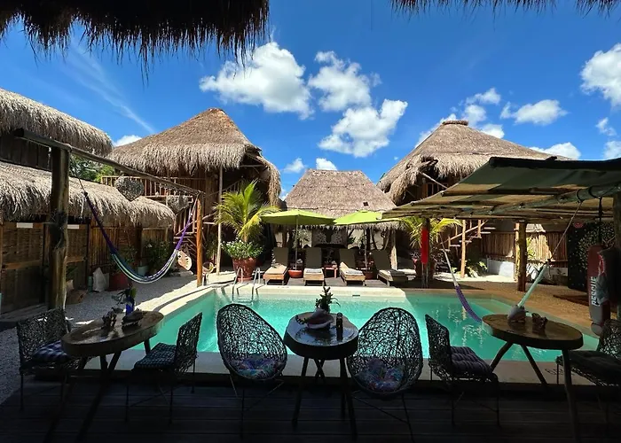 Jungla Y Estrellas
