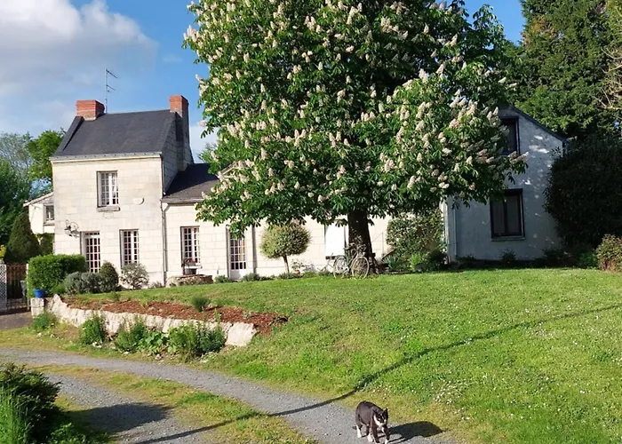 Chambres d'Hôtes de l'Ile du Saule