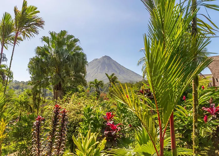 Hotel Lavas Tacotal