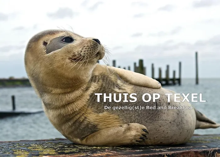 Thuis op Texel Den Burg