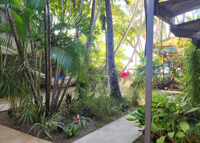 Hotel La Palapa