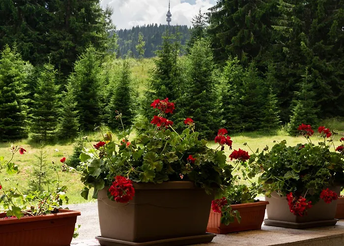 Hotel Niken