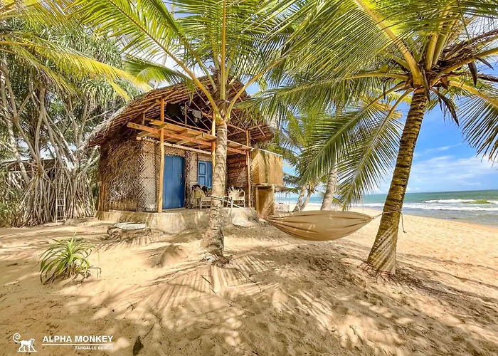 The Alpha Monkey Hotel & Tree House