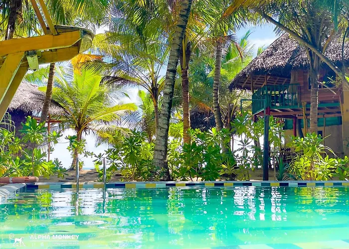The Alpha Monkey Hotel & Tree House