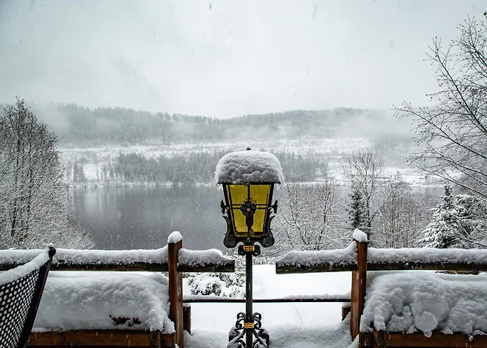 Alemannenhof - Boutique Hotel Am Titisee