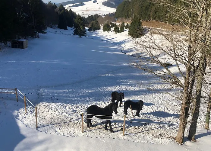 Waldhotel Auerhahn Hochkopfhaus