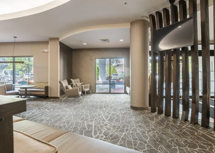 Springhill Suites Gainesville