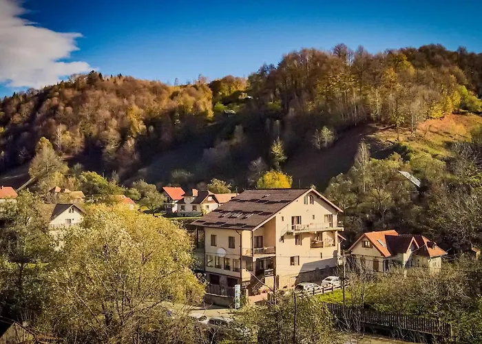 Pensiunea Montan din Bran,sat Simon SPA indoor