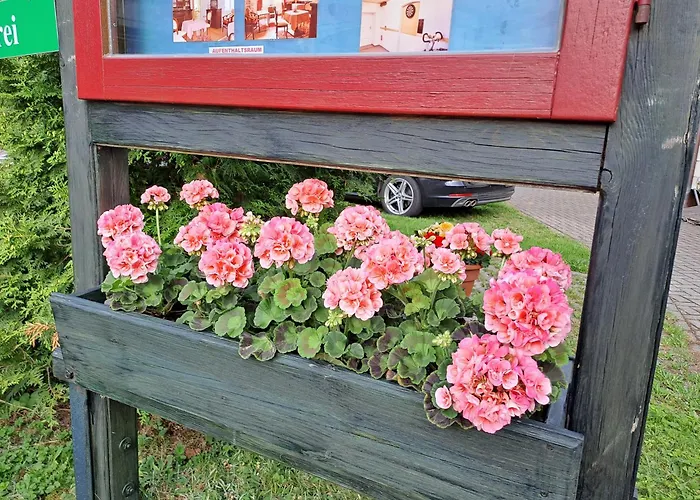 Pension Villa Immergrün Oberhof 