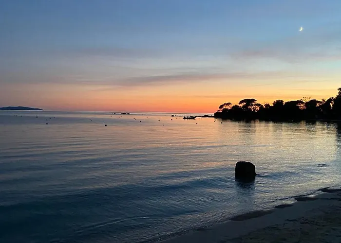 Palm Beach