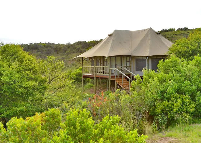 Garden Route Safari Camp