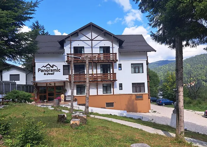 Vila PANORAMIC Busteni