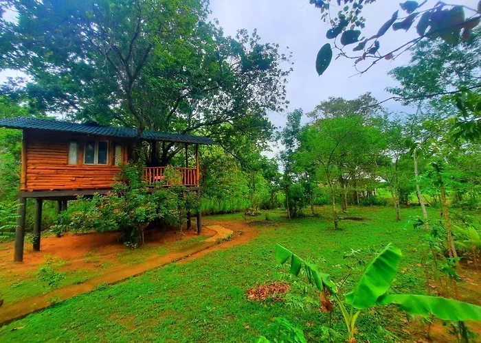 Tree House 4 Nature Lovers