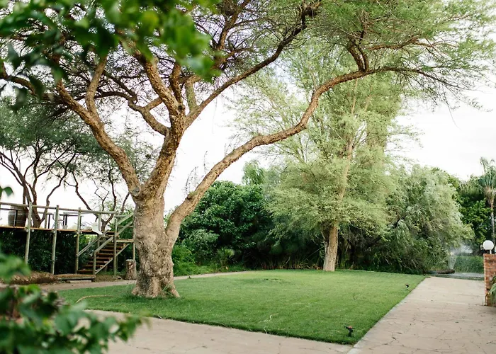 Upington African Vineyard Boutique Hotel & Spa