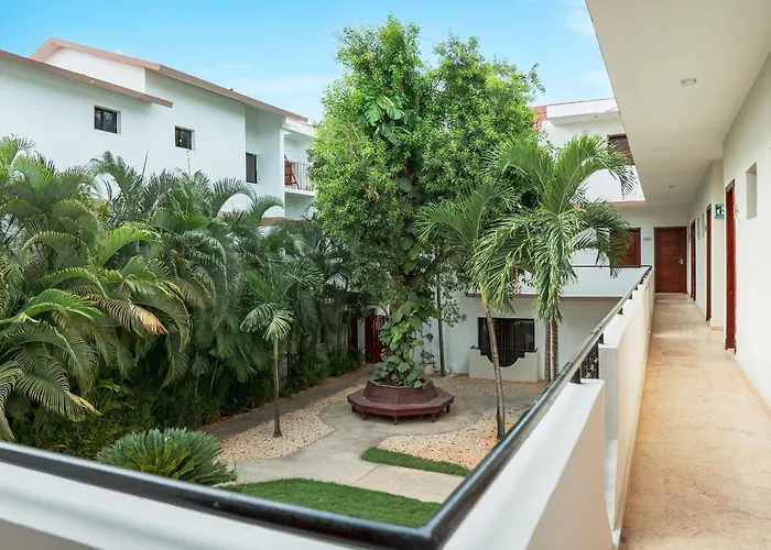 Hotel Silvestre