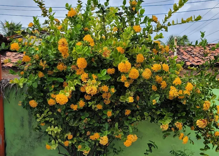 Pousada Terraço Potiguara Baia da Traicao