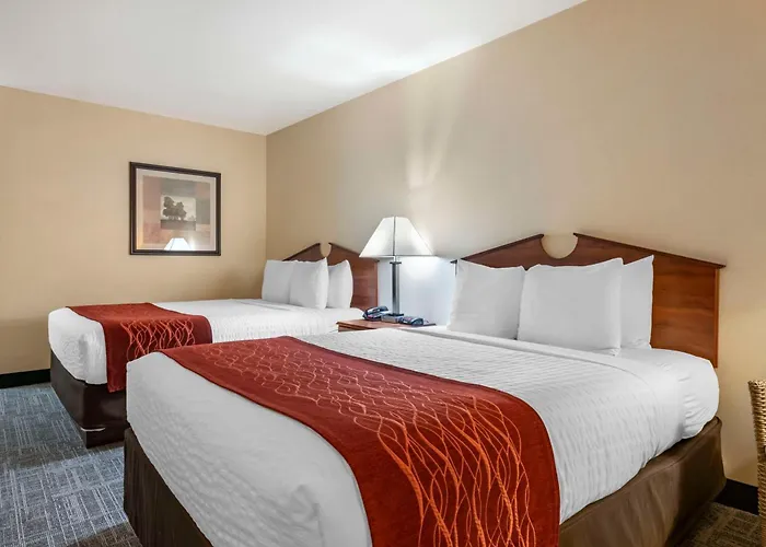 SureStay Plus Hotel by Best Western Buffalo