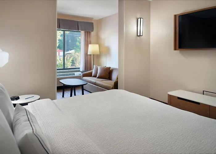 Fairfield Inn & Suites By Marriott Asheville Airport/Fletcher