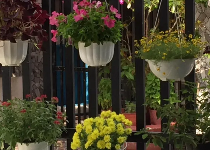 Hoang Hon Homestay