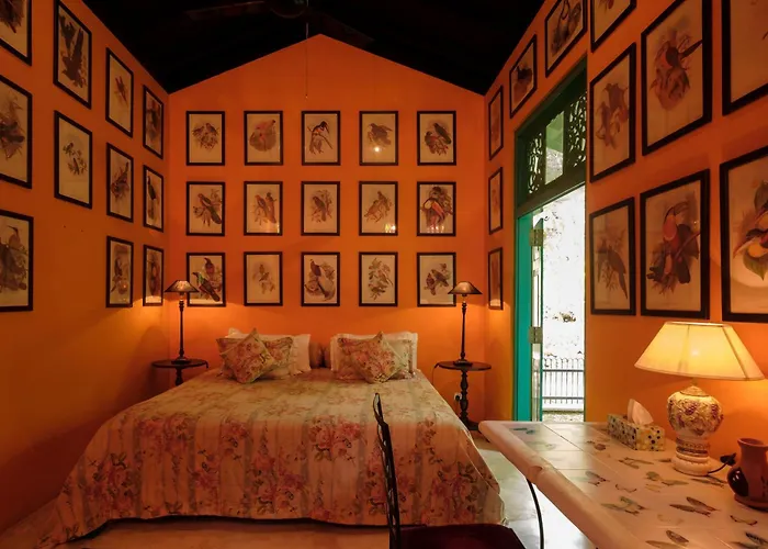 Casa Heliconia