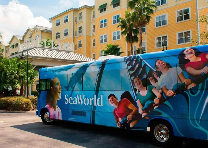 Residence Inn By Marriott Orlando At Seaworld Williamsburg
