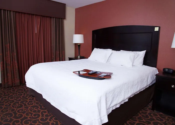 Hampton Inn & Suites Dickinson Nd