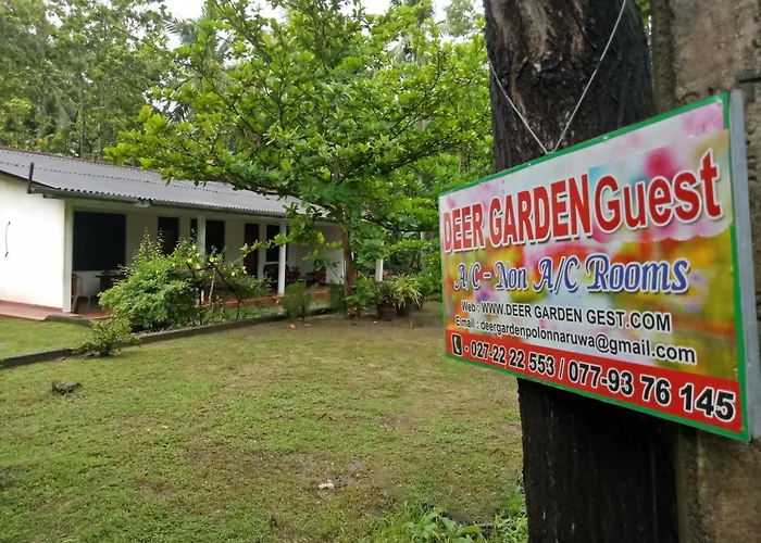 Deer Garden Guest