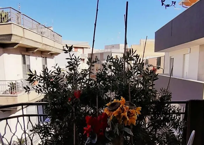 Le Mille E Una Puglia - Stories And Experiences